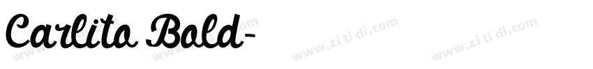 Carlito Bold字体转换
